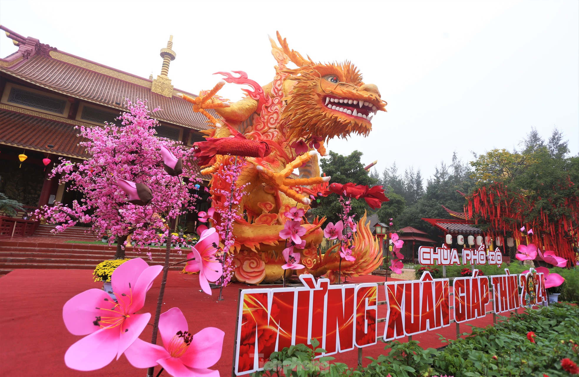 Chiêm ngưỡng linh vật &quot;rồng chầu&quot; đầy dũng mãnh ở Hà Tĩnh - Ảnh 7.