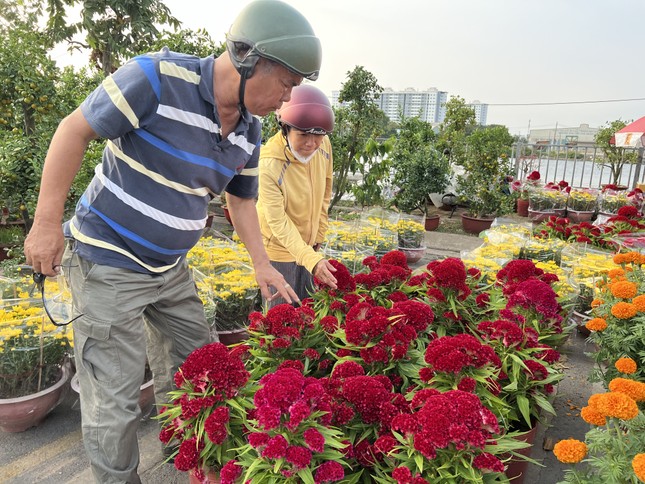 Lý do chợ hoa xuân Bình Điền vừa khai mạc đã… cháy hàng - Ảnh 2.