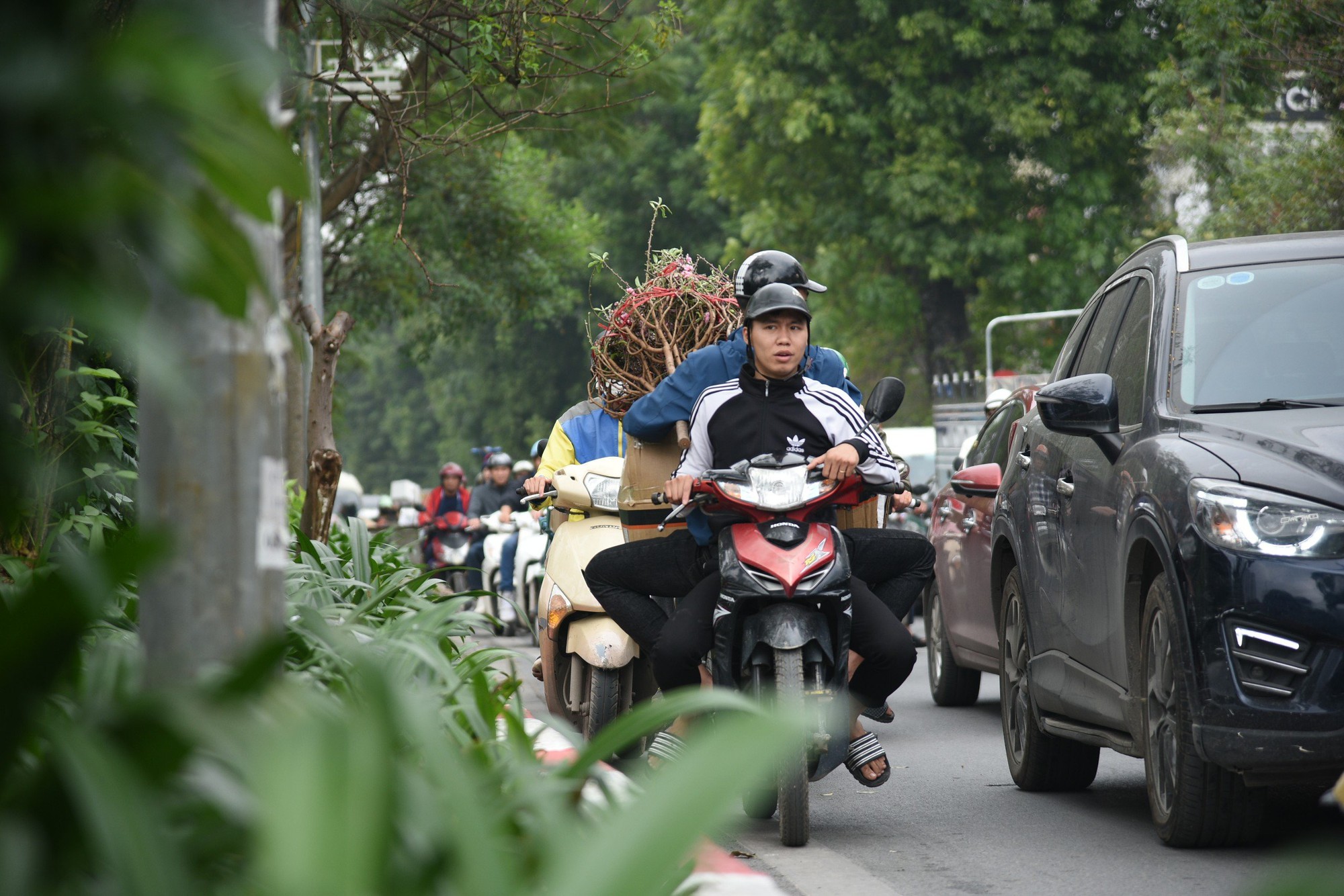 Người dân tranh thủ mang Tết về nhà với những gì có thể sau một năm đi làm ăn xa