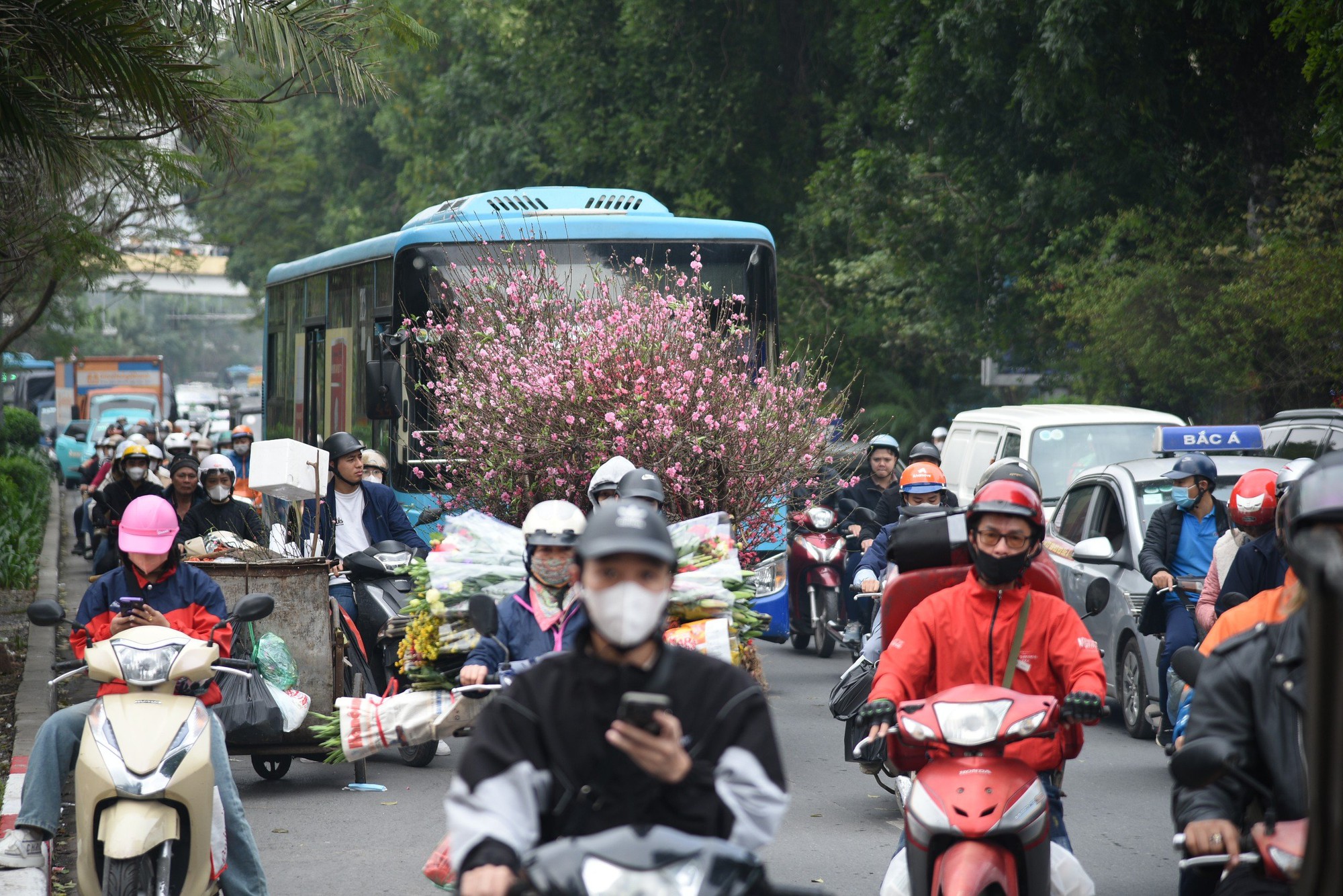 Trên các tuyến phố đều xuất hiện những người mua bán đào, quất báo hiệu ngày Xuan đã đến gần.