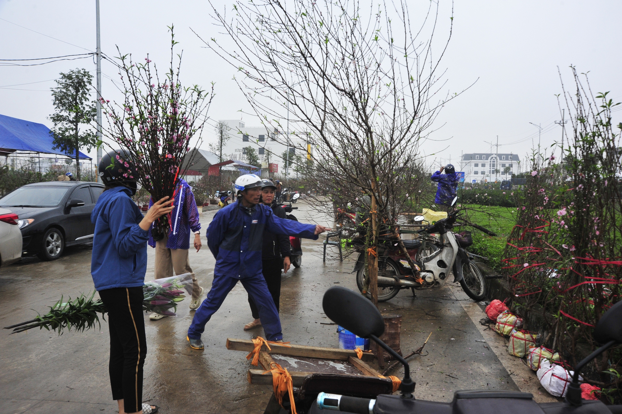 Một chủ gian hàng bán đào khác cũng chia sẻ, càng đến ngày cận Tết đào càng rẻ: &quot;Lượng người mua năm nay giảm đáng kể, cách đây 15 ngày tôi bán được hơn 1 triệu đồng/ cây đào, hôm nay hạ xuống còn một nửa mong thu hồi vốn, nếu ngày mai không có người mua nữa thì tôi sẽ cắt gốc mang về vườn để trồng lại&quot;, chủ cửa hàng cho hay.