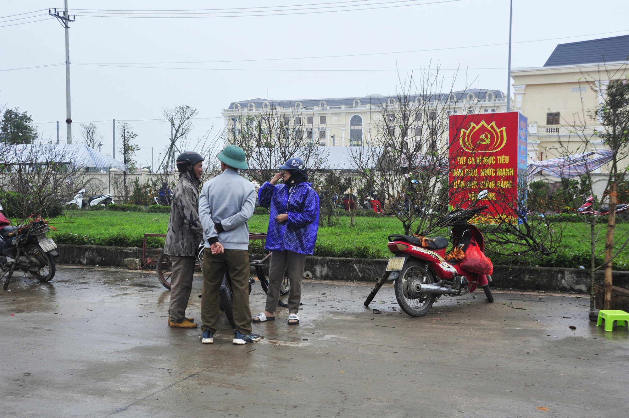 Một chủ gian hàng bán đào cho biết, năm nay lượng khách mua hàng không được nhiều như năm ngoái. Người bán hàng nhận định có thể do thời tiết lạnh và một phần do kinh tế hoặc người dân đi làm ăn xa chưa về. Hy vọng còn hai ngày cuối cùng các thương lái thu hoạch được vốn và có thêm tiền công.