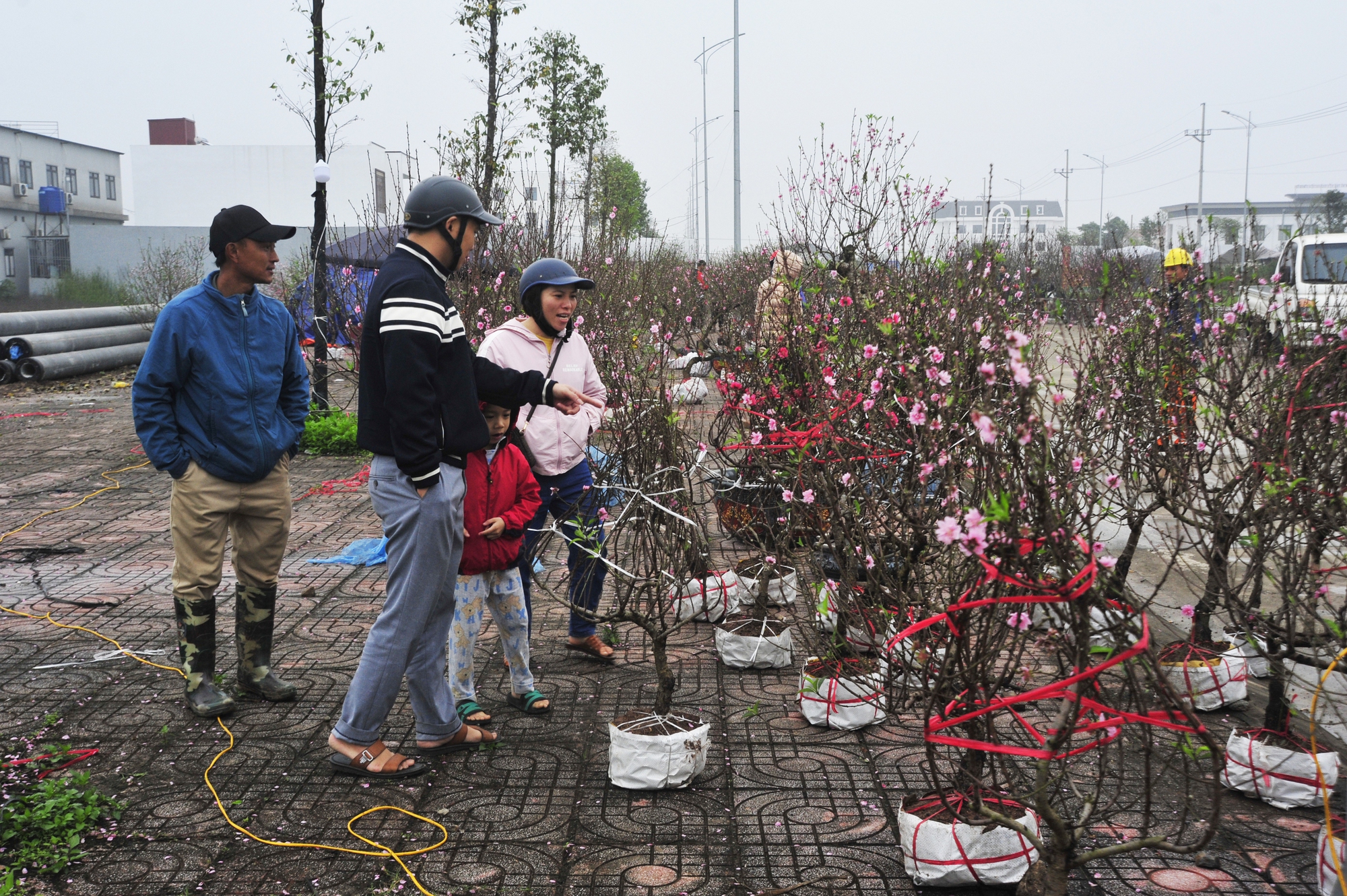 &quot;Như tôi năm nay mới tiêu thụ được 50 cây đào, trong khi đó năm ngoái giờ này đã hết hơn 100 cây&quot;, anh Hùng một người buôn đào chia sẻ.