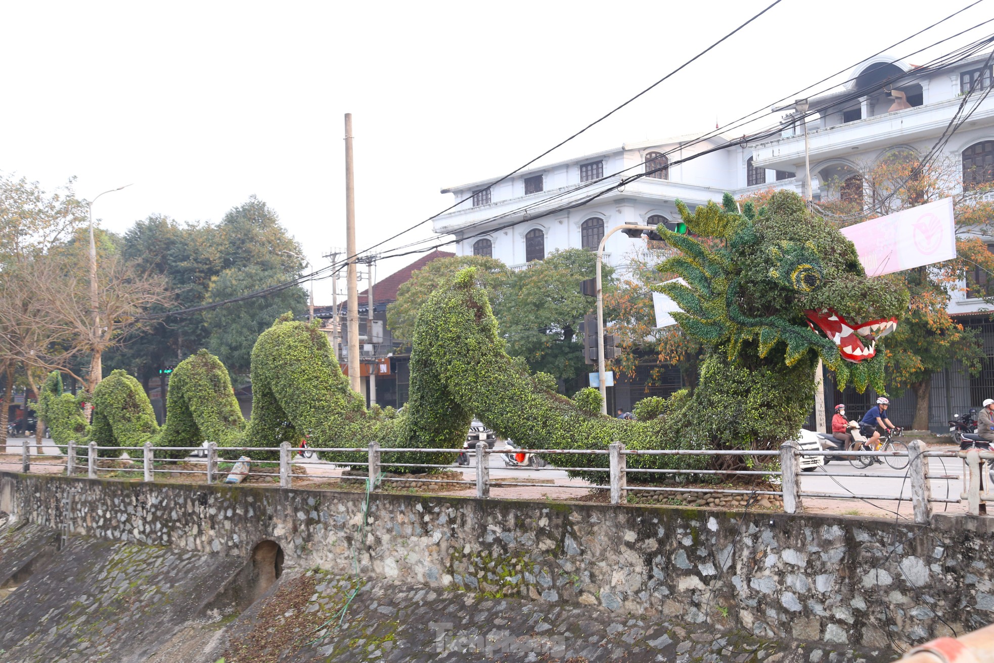 Bất ngờ diện mạo mới của cặp rồng xanh ở Vinh sau thẩm mỹ - Ảnh 1.