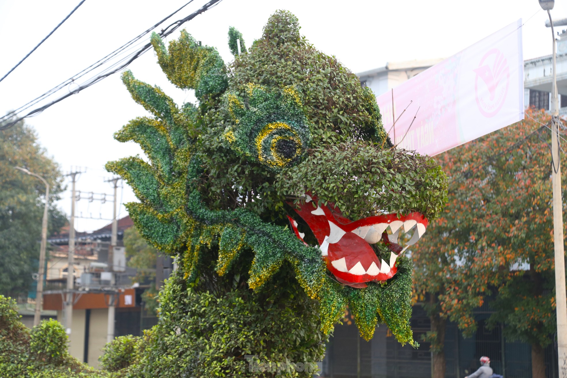 Bất ngờ diện mạo mới của cặp rồng xanh ở Vinh sau thẩm mỹ - Ảnh 6.