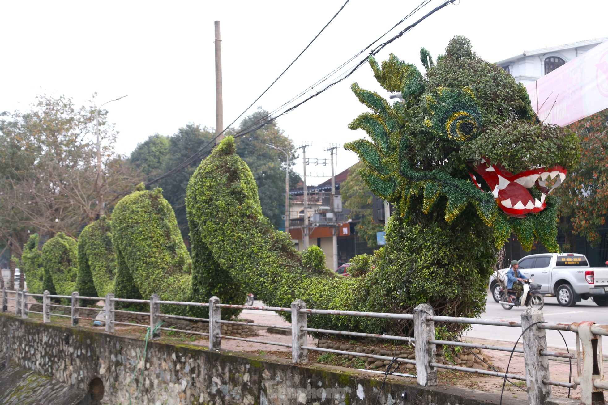 Bất ngờ diện mạo mới của cặp rồng xanh ở Vinh sau thẩm mỹ - Ảnh 3.