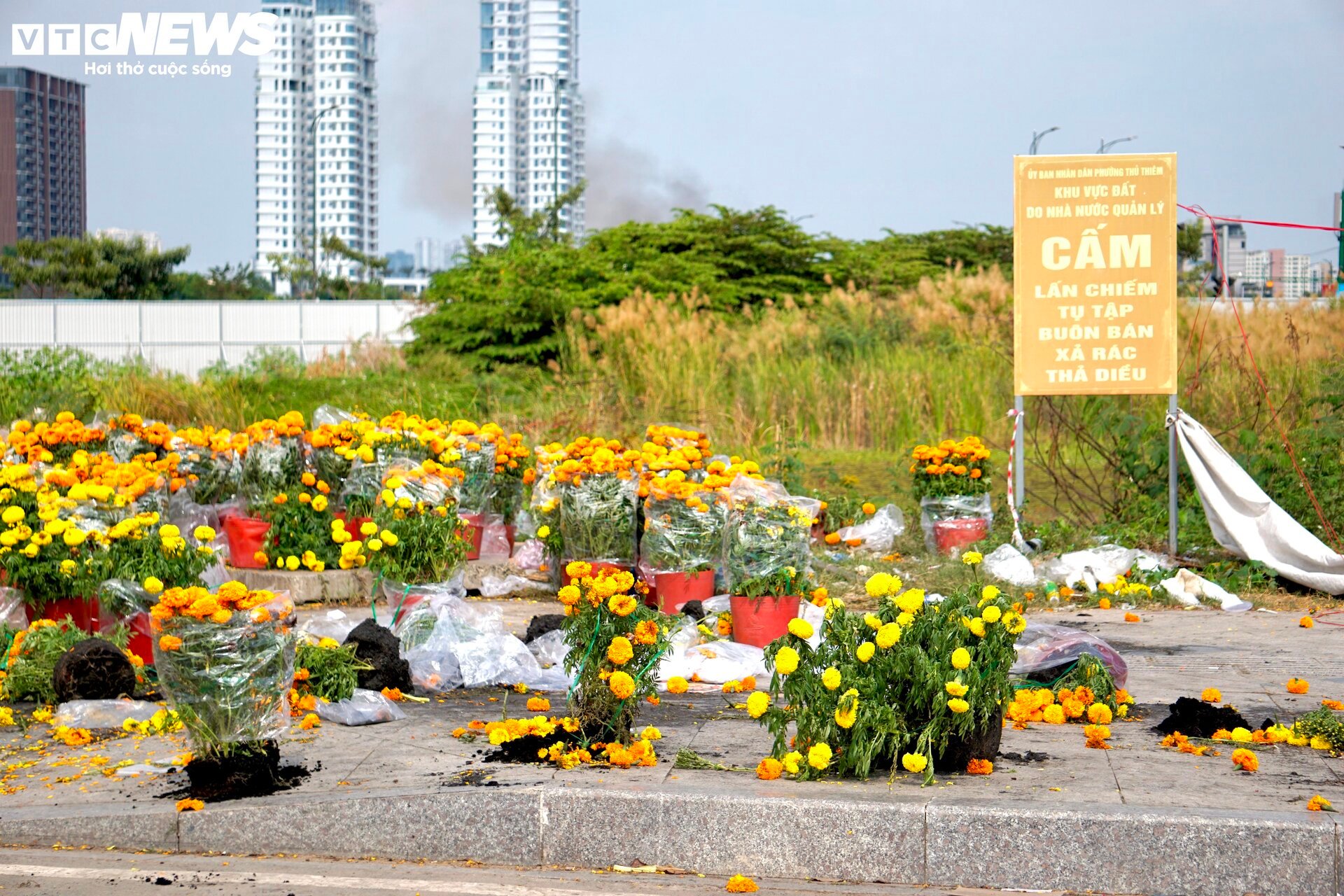 L&yacute; do tiểu thương TP.HCM đập bỏ hoa chiều 30 Tết khiến d&acirc;n mạng bất ngờ - Ảnh 1.