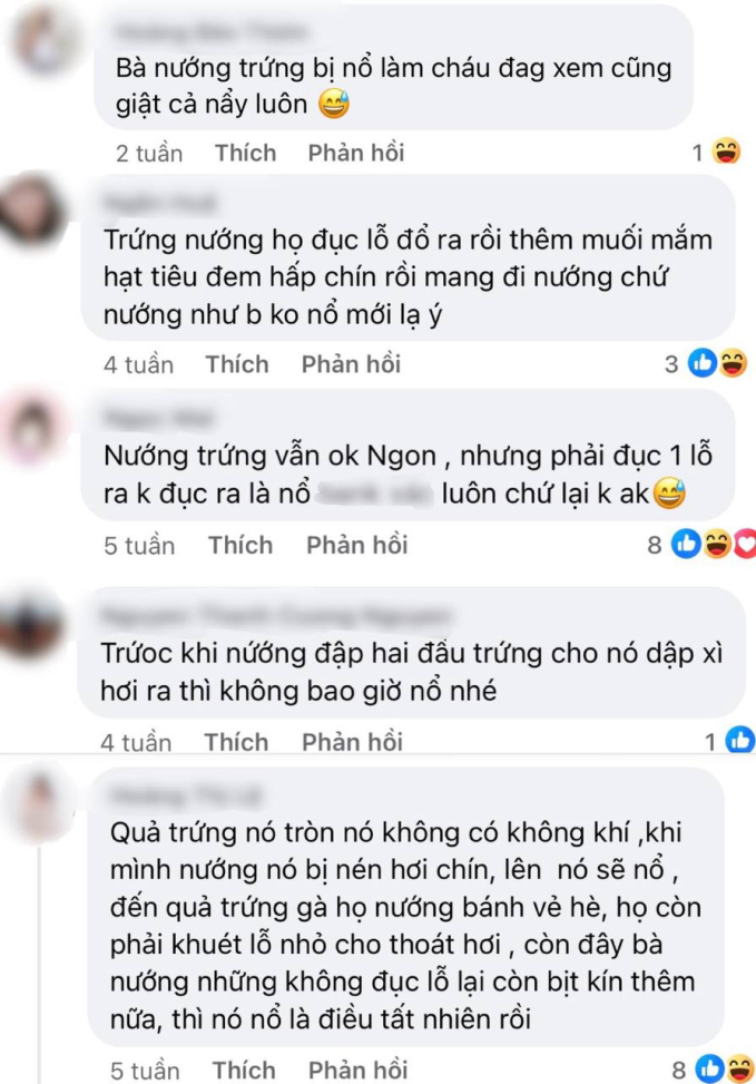 Dân mạng la ó vì sự cố nổ trứng đà điểu nướng của Bà Tân Vlog: thiếu kinh nghiệm hay là trò câu views? - Ảnh 5.