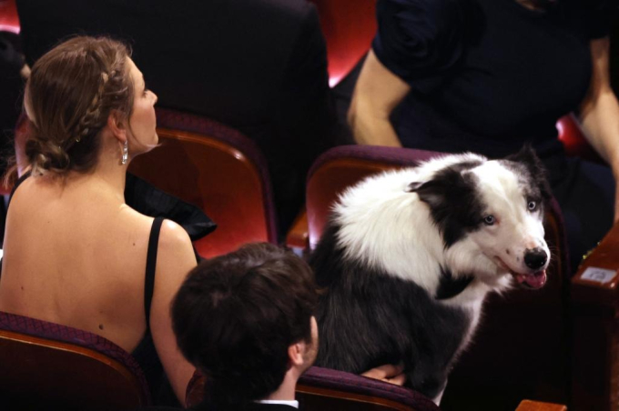 Diễn viên bị cấm đến Oscar 2024 bất ngờ xuất hiện, có khoảnh khắc &quot;giật spotlight&quot; dàn sao hạng A - Ảnh 2.