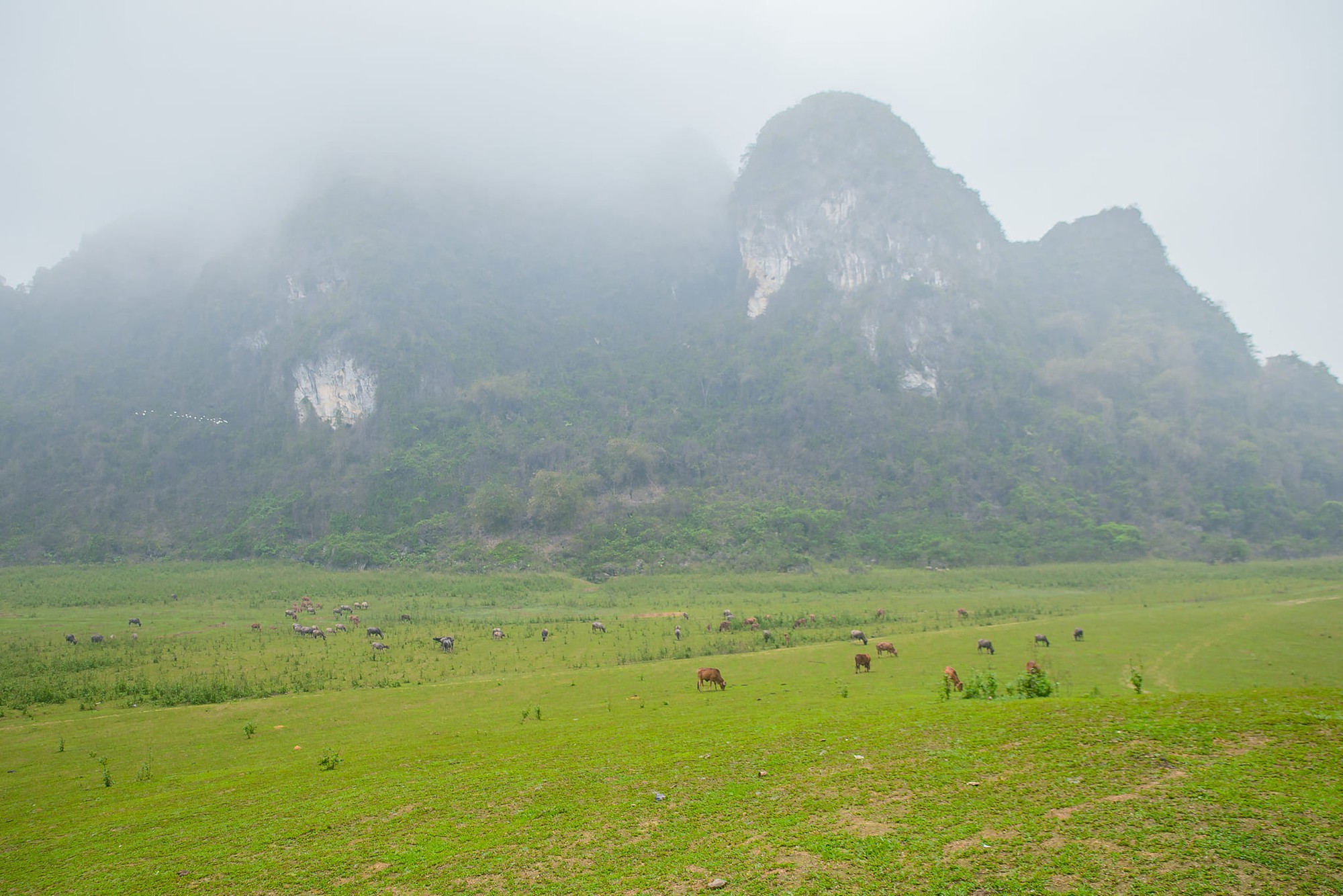 Phát hiện thảo nguyên xanh cách Hà Nội chưa tới 100km, được so sánh như “vịnh Hạ Long trên cạn”- Ảnh 1.