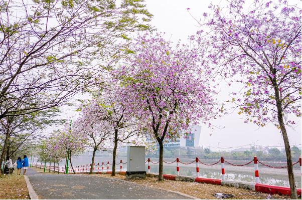 Cuối tuần năng động trải nghiệm Lễ hội Hạnh phúc tại khuôn viên xanh TH School Hòa Lạc - Ảnh 2.