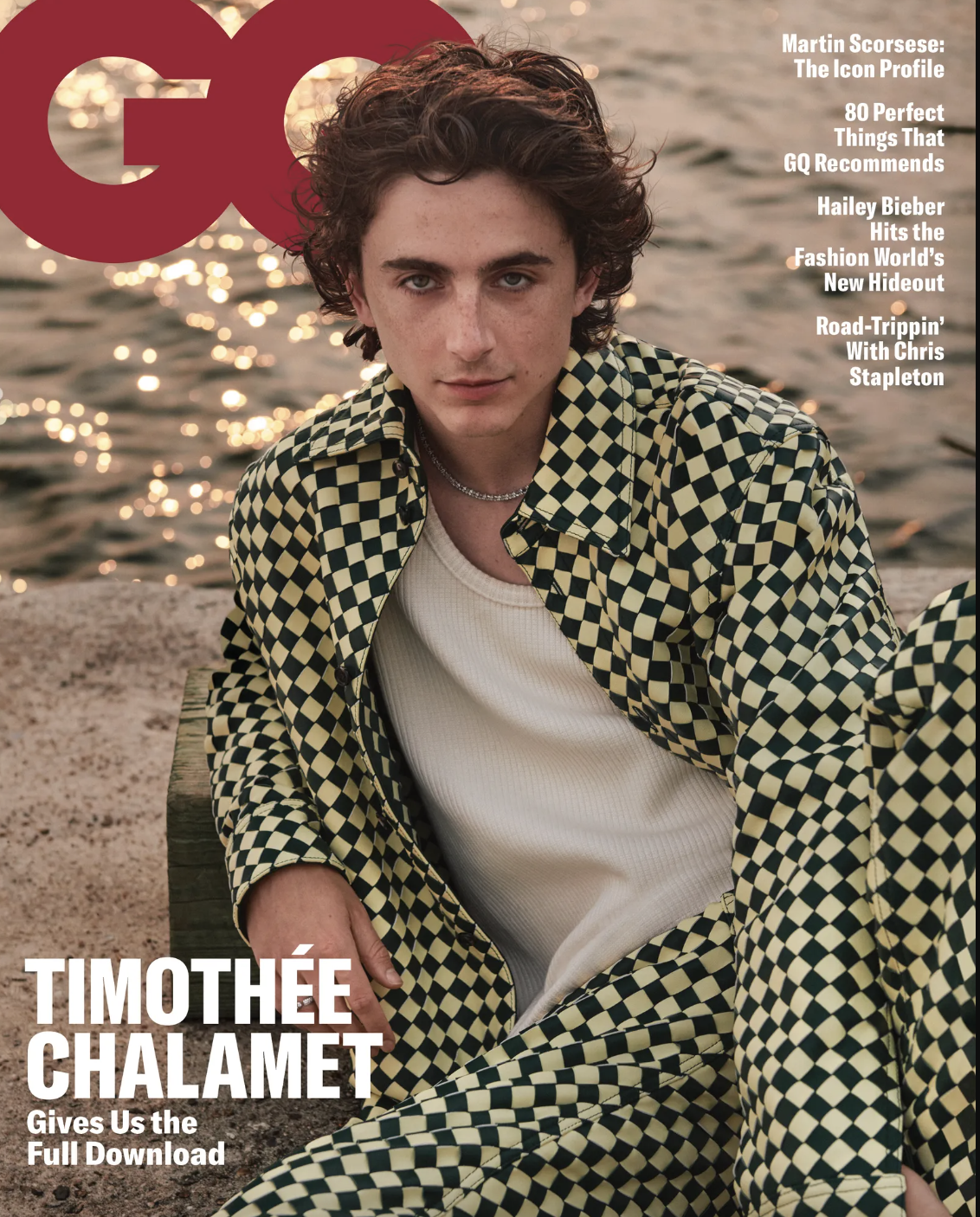 Timothée Chalamet - Con cưng mới của Hollywood - Ảnh 4.