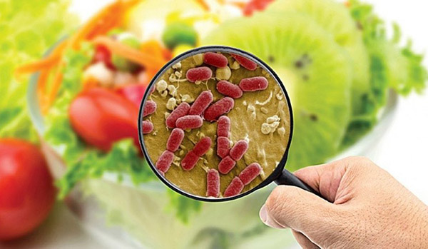 Vi khuẩn Salmonella có trong cơm gà Trâm Anh nguy hiểm thế nào? - Ảnh 3.