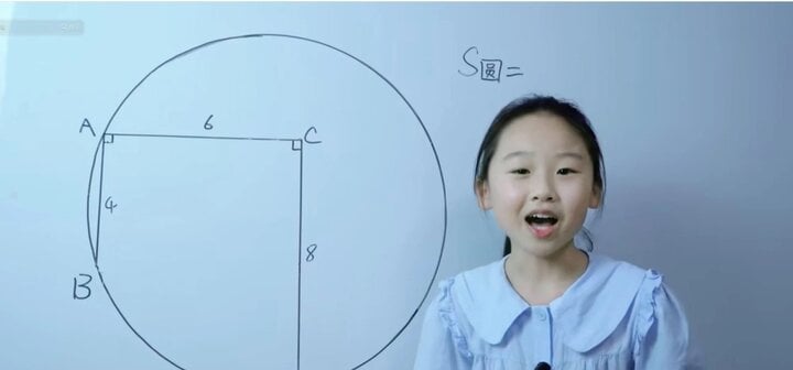 Thần đồng toán học 12 tuổi dạy trực tuyến cho sinh viên đại học - Ảnh 1.
