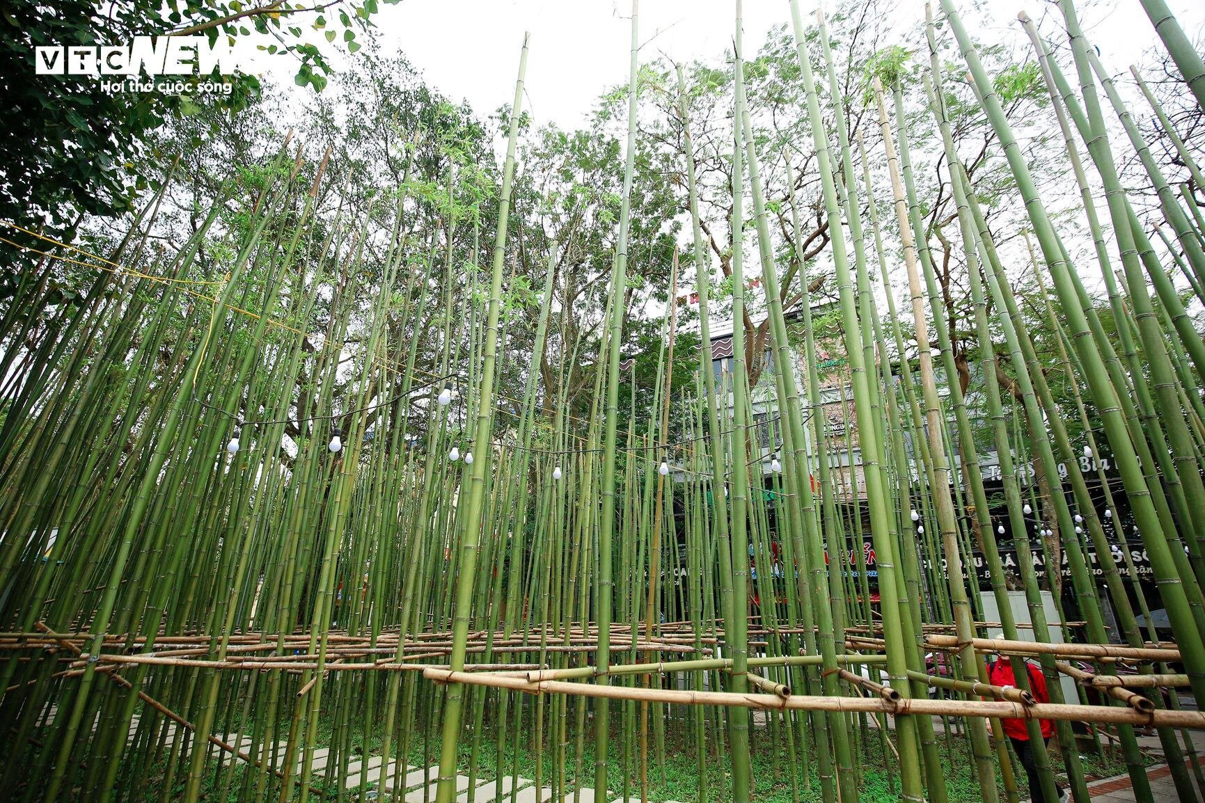 Du khách nước ngoài mê mẩn vườn trúc đẹp như trong phim ở Hà Nội - Ảnh 12.