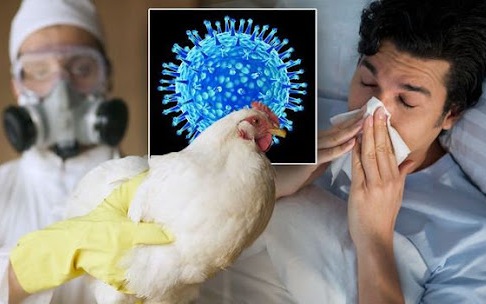 Sinh viên nhiễm cúm gia cầm A/H5 ở Khánh Hòa đã tử vong: Bệnh cúm này nguy hiểm như thế nào?