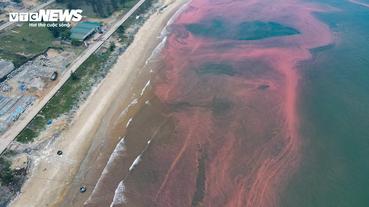 Nước biển ở Hà Tĩnh có màu đỏ do tảo nở hoa - Ảnh 1.