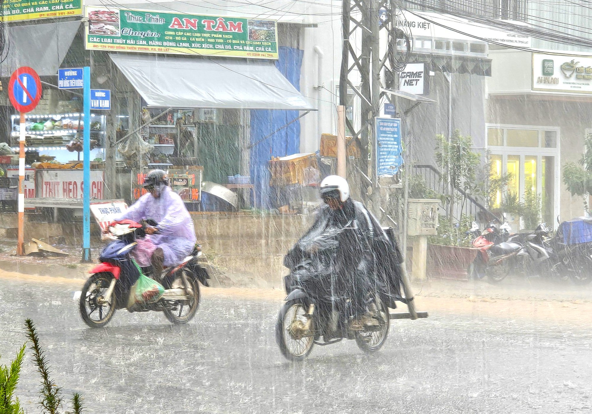 Đà Lạt đón cơn mưa 