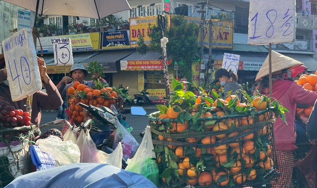 Sự thật qu&yacute;t &Uacute;c tr&agrave;n ngập chợ, gi&aacute; si&ecirc;u rẻ - Ảnh 3.