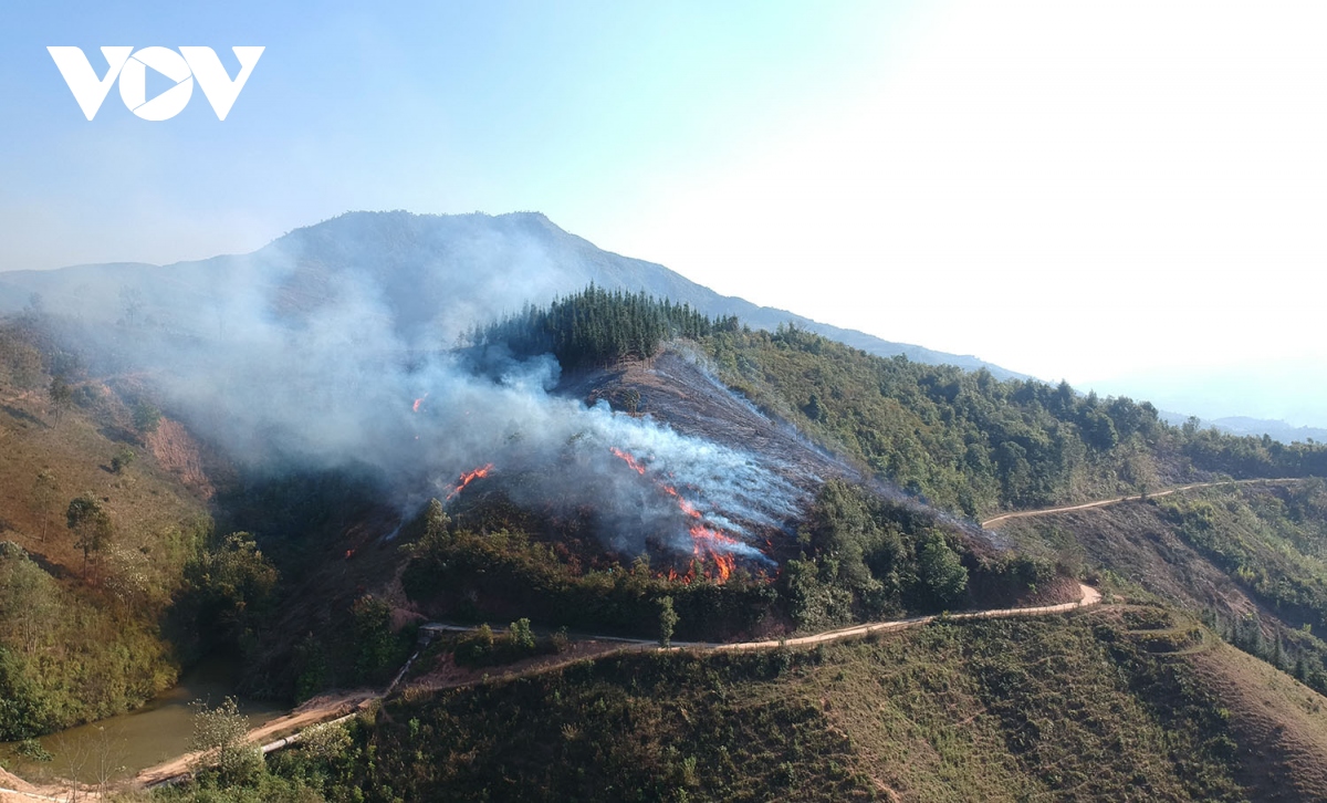 Toàn bộ diện tích rừng của tỉnh Điện Biên đang ở cảnh báo cháy rừng cấp cao nhất - Ảnh 1.