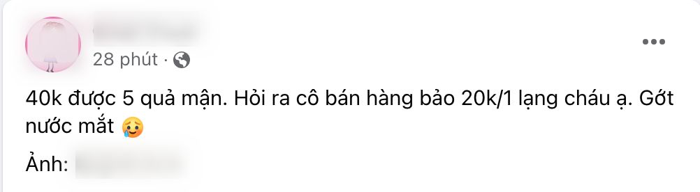 40k chỉ mua được 5 quả mận: Người ngậm ngùi &quot;chịu trận&quot; vì mận đầu mùa, người than thở vì giá trên trời- Ảnh 1.