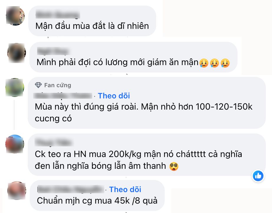 40k chỉ mua được 5 quả mận: Người ngậm ngùi &quot;chịu trận&quot; vì mận đầu mùa, người than thở vì giá trên trời- Ảnh 3.