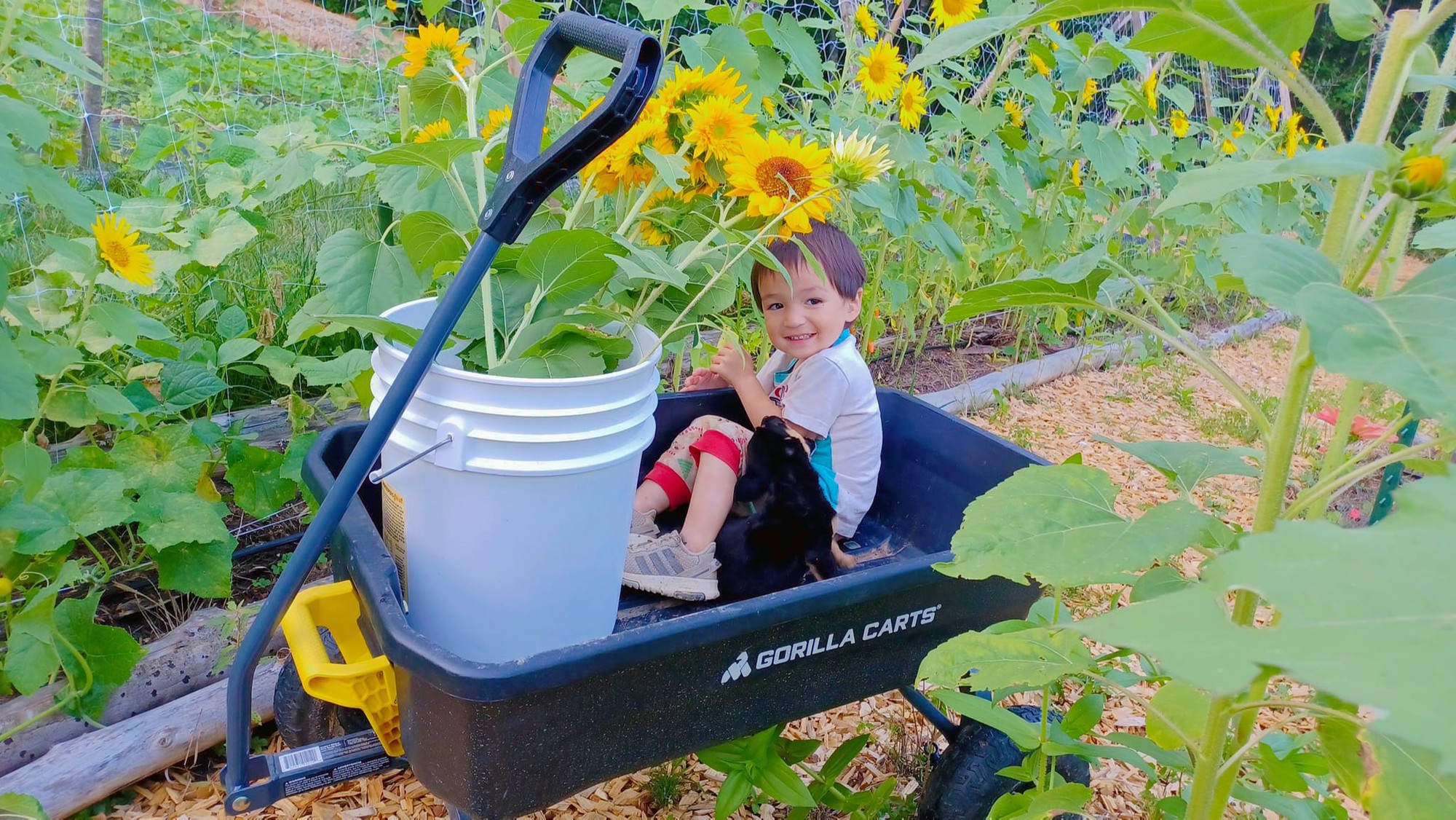 Vợ Việt lấy chồng Mỹ thuộc tộc người bí ẩn: Ly khai thế giới hiện đại, không dùng điện, đi bằng xe ngựa- Ảnh 25.