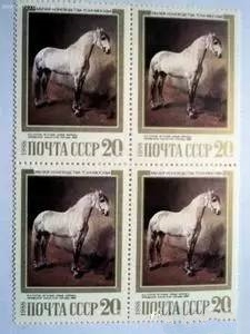 Xôn xao thông tin giống ngựa quý hiếm nhất trên thế giới có mặt tại Học viện cưỡi ngựa Hoàng gia, giá khoảng 25 tỷ/con - Ảnh 2.