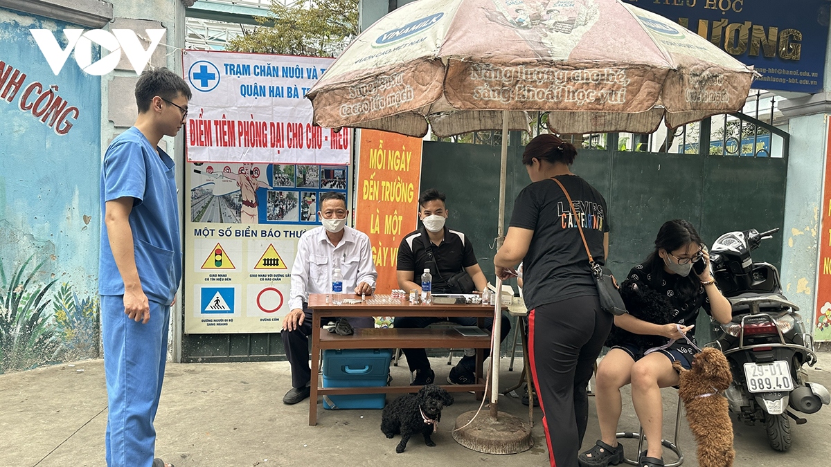 Phát hoảng vì chó không rọ mõm thả rông nơi công cộng ở Hà Nội - Ảnh 2.
