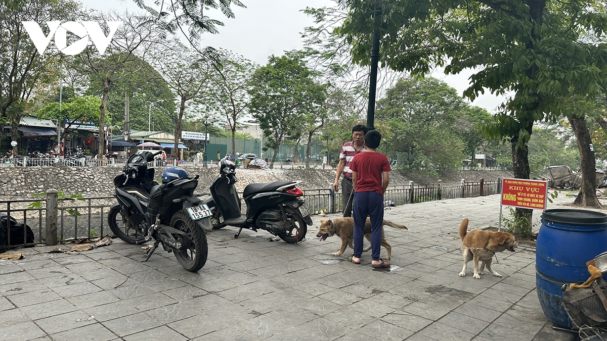 Phát hoảng vì chó không rọ mõm thả rông nơi công cộng ở Hà Nội - Ảnh 4.