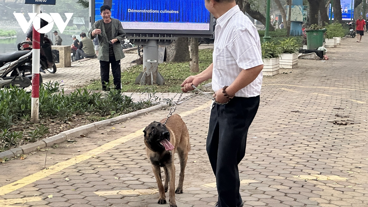 Phát hoảng vì chó không rọ mõm thả rông nơi công cộng ở Hà Nội - Ảnh 3.