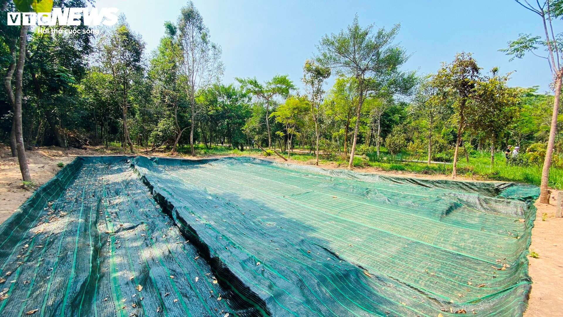 Cận cảnh con đường cổ nghìn năm vừa phát lộ ở Thánh địa Mỹ Sơn - Ảnh 9. Cận cảnh con đường cổ nghìn năm vừa phát lộ ở Thánh địa Mỹ Sơn - Ảnh 9.