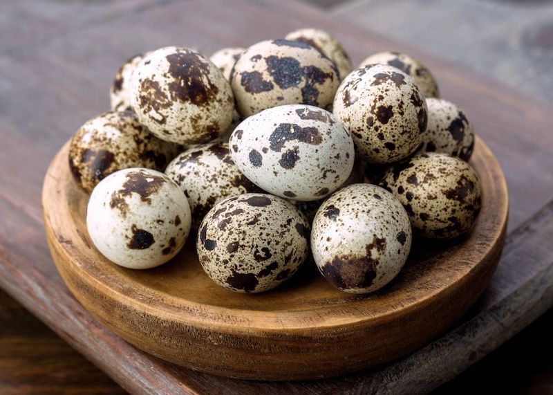 Trứng gà, trứng vịt, trứng ngỗng, trứng cút, loại nào bổ dưỡng hơn? Chuyên gia: Riêng loại trứng này ăn càng ít càng tốt- Ảnh 2.
