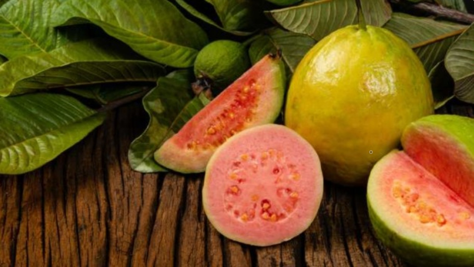 6 lợi ích của loại trái cây thân thiện với bệnh tiểu đường - Ảnh 1.