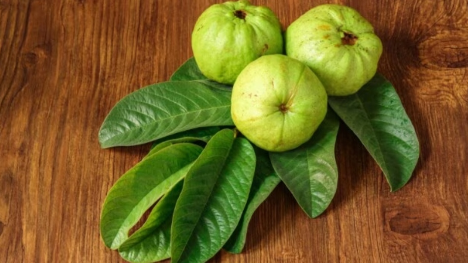 6 lợi ích của loại trái cây thân thiện với bệnh tiểu đường - Ảnh 3.