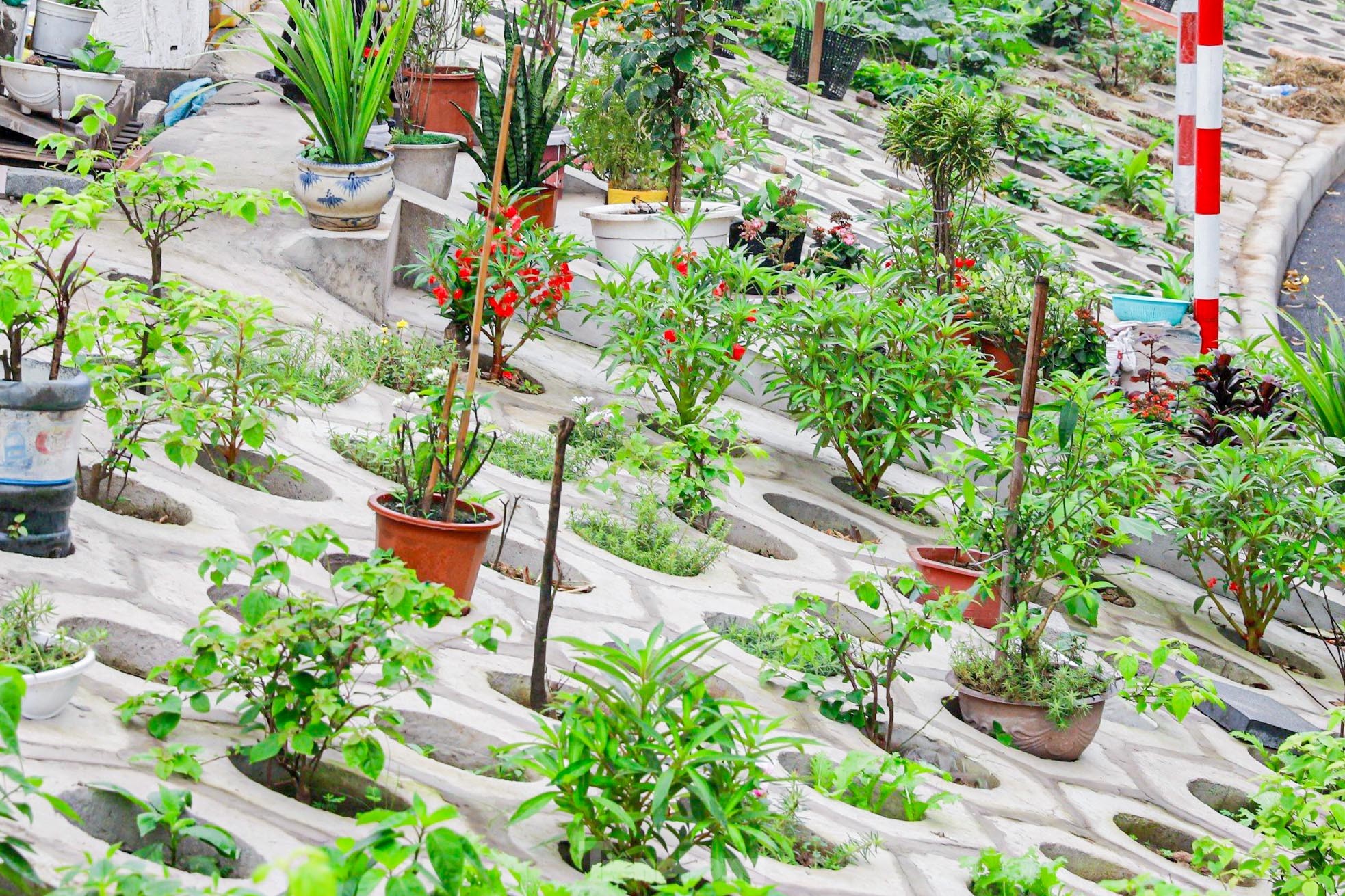 Trên đê Nguyễn Khoái, chỗ trồng rau phủ xanh, chỗ ngập rác ô nhiễm - Ảnh 5.