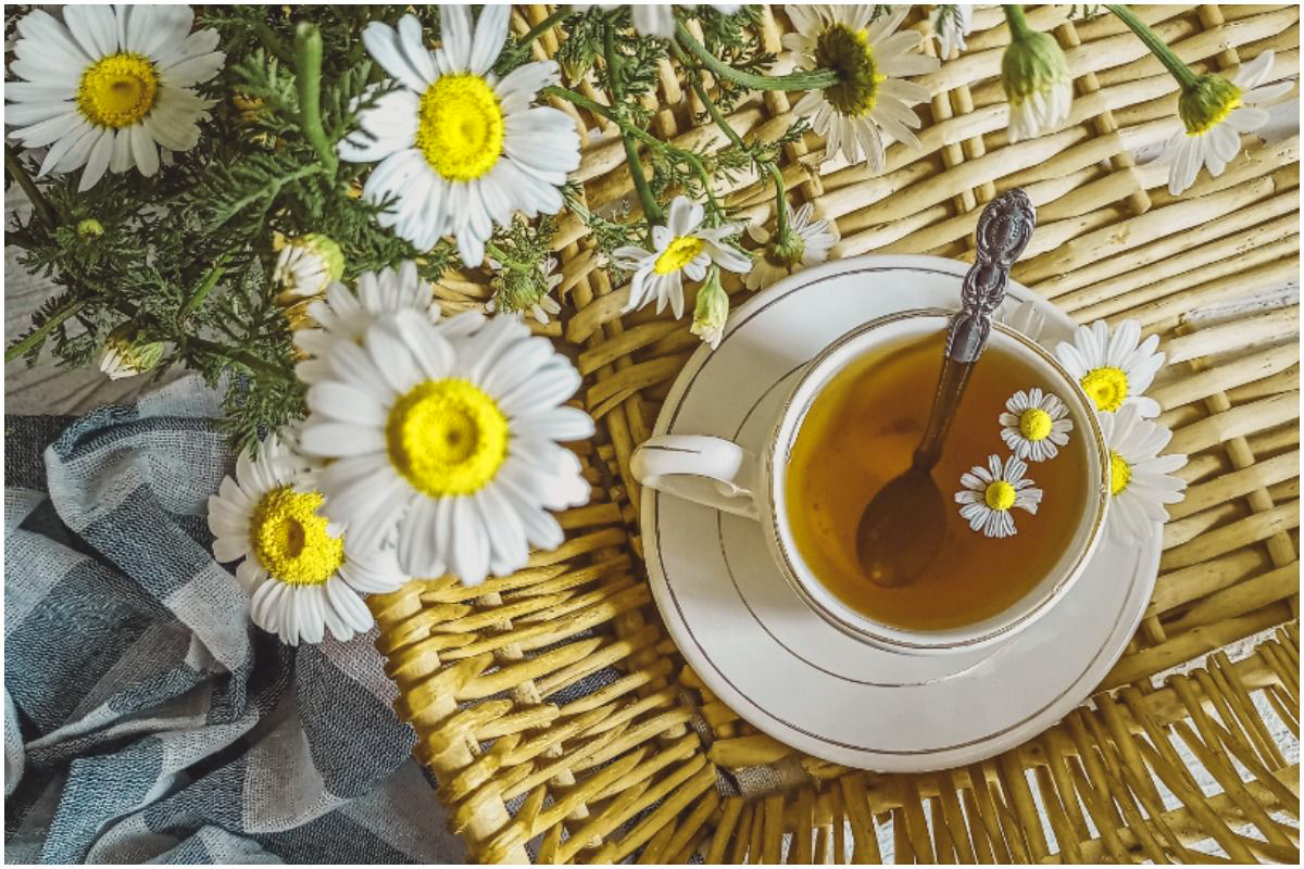 chamomile-tea-1pts-17136070899722122468285-1713621038505-1713621038708697709233.png