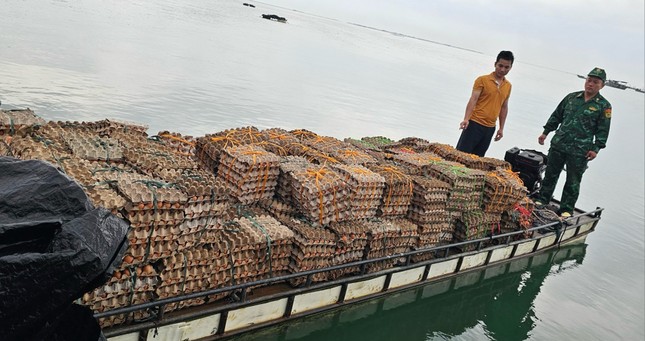 Dùng bè gỗ buôn lậu gần 30 nghìn quả trứng gà từ Trung Quốc - Ảnh 2.