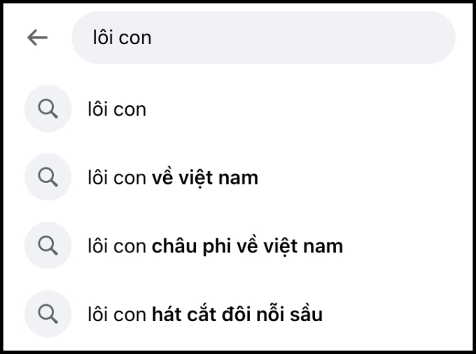 Sức hút khó tin của Lôi con ở Việt Nam: Fan xếp hàng đón ở sân bay, lên top trending khi diễn văn nghệ ở Hà Nam - Ảnh 6.