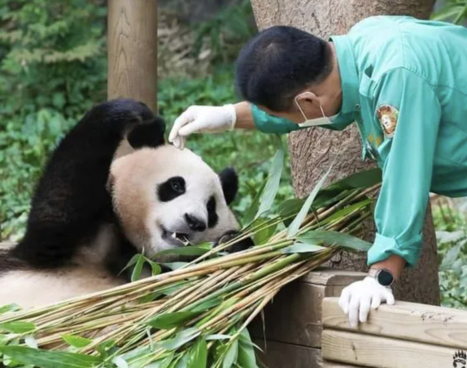 “Đỉnh lưu” Fubao sắp có phim điện ảnh, netizen chia phe tranh cãi: “Cái gì làm quá nó cũng ố dề!” - Ảnh 4.