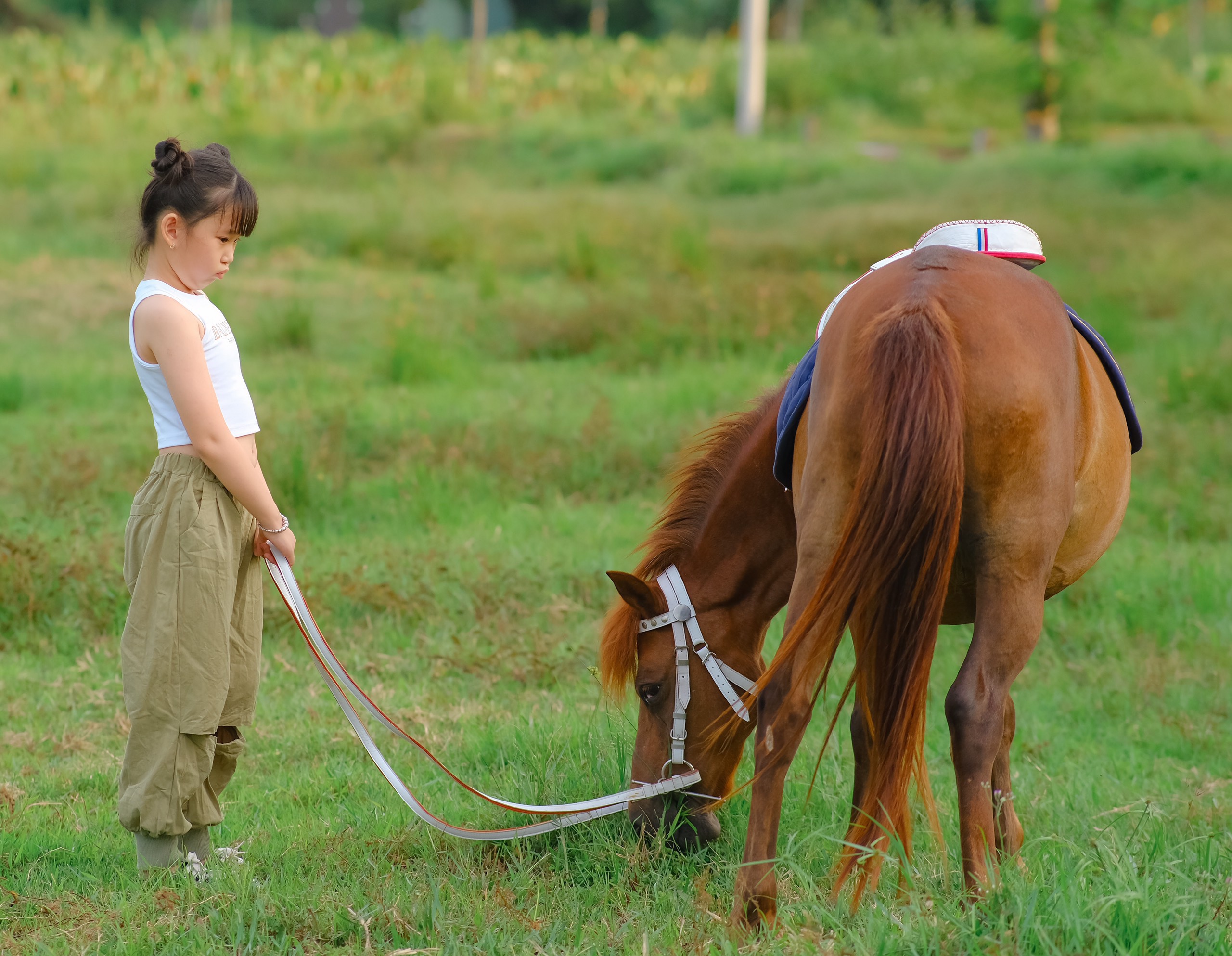 Bé gái cưỡi ngựa phi nước đại, thần thái cực ngầu không thể rời mắt, bộ môn nghệ thuật chỉ dành cho người kiên trì - Ảnh 5.