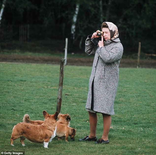 Tượng đài Nữ vương Elizabeth II cùng 3 chú chó corgi được khánh thành, dân Anh xúc động tưởng nhớ vị vua đáng kính- Ảnh 4.