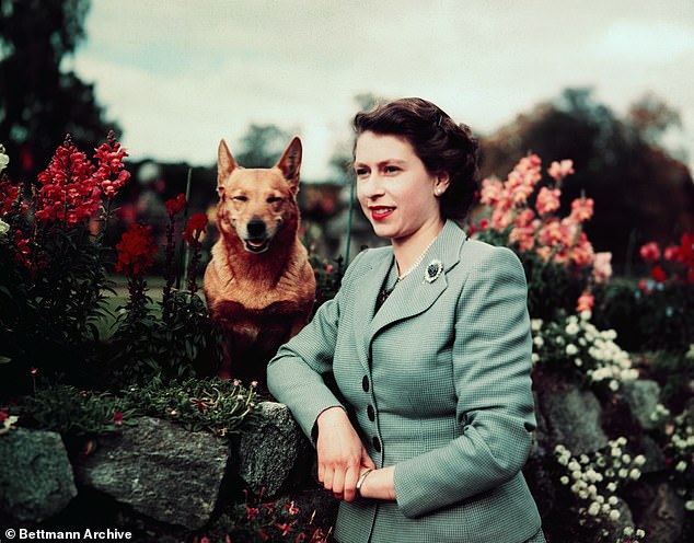 Tượng đài Nữ vương Elizabeth II cùng 3 chú chó corgi được khánh thành, dân Anh xúc động tưởng nhớ vị vua đáng kính- Ảnh 3.