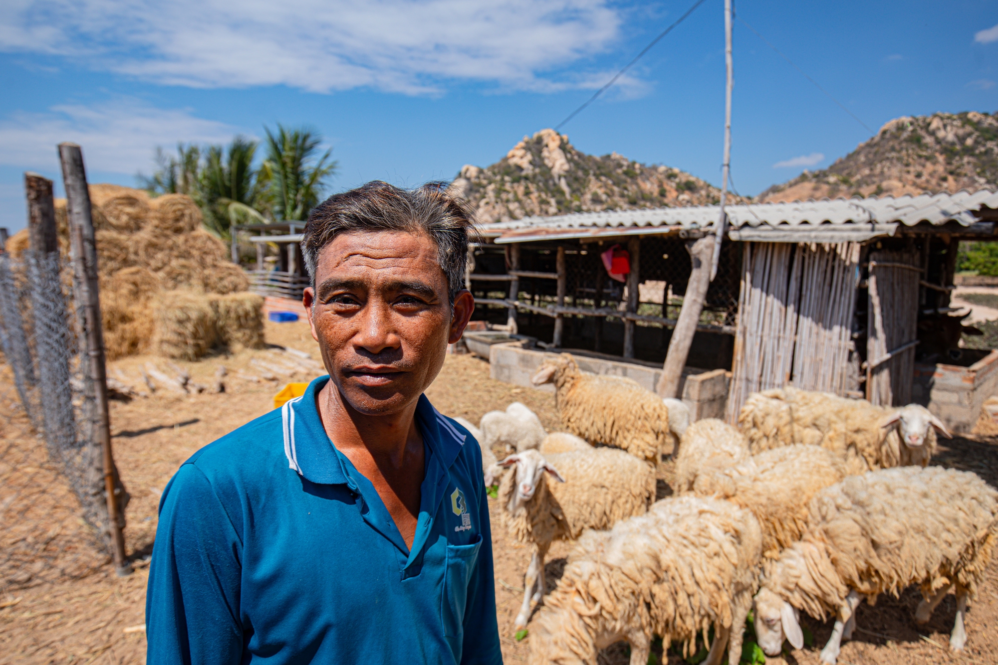 Tận mắt thấy những đàn cừu Ninh Thuận chết khô, hồ nước trơ đáy, nứt nẻ trong hạn hán khốc liệt miền Trung - Ảnh 7.