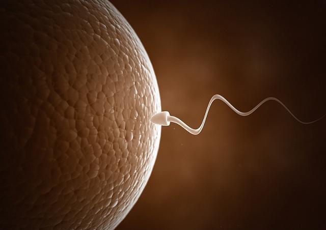 Nam thanh niên 27 tuổi có tỉ lệ tinh trùng bất thường lên đến 97% chỉ vì vợ chồng &quot;nín thở&quot; chờ trứng rụng để thụ thai - Ảnh 4.