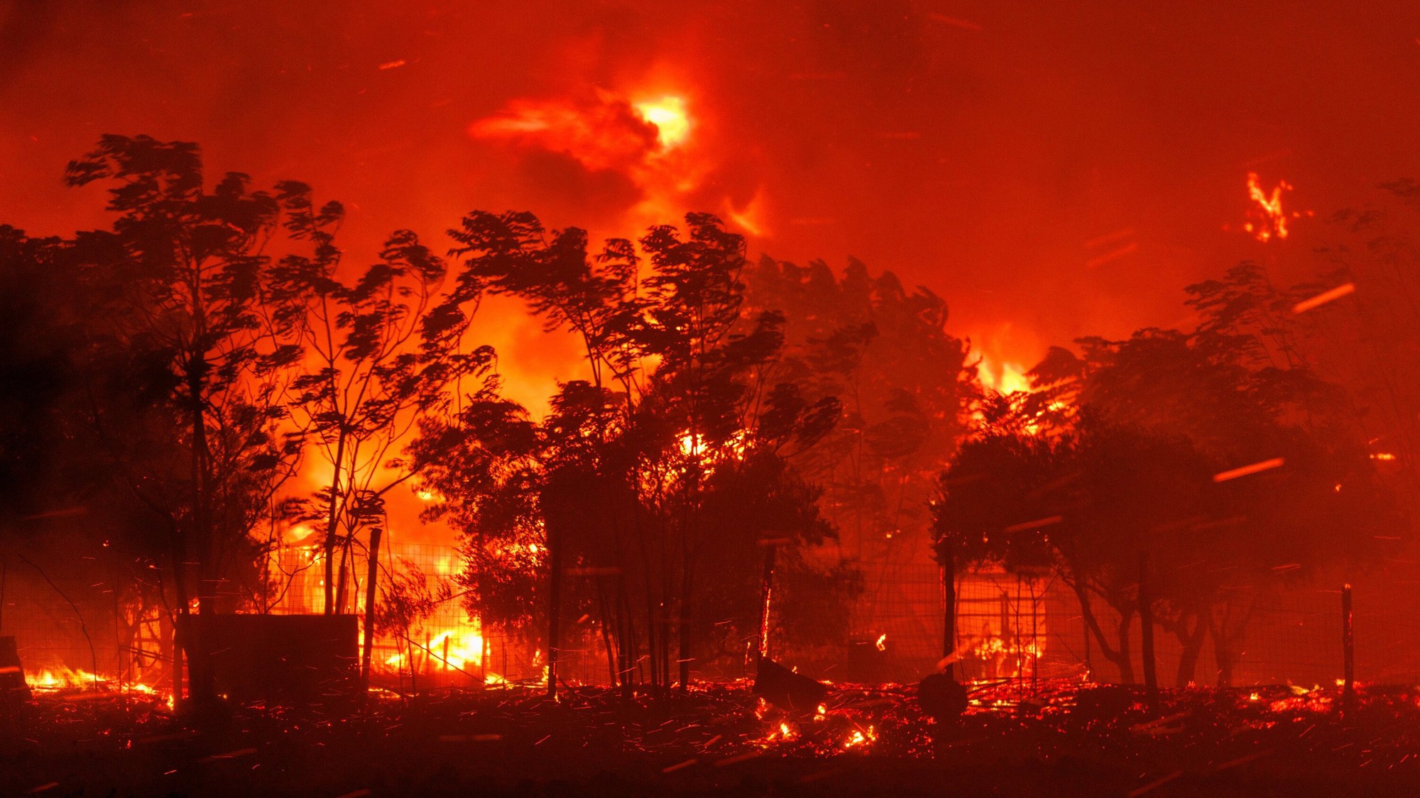 Từ El Nino đến La Nina: Khi thời tiết cực đoan trở thành điều “bình thường mới” của Trái đất - Ảnh 1. Từ El Nino đến La Nina: Khi thời tiết cực đoan trở thành điều “bình thường mới” của Trái đất - Ảnh 1.