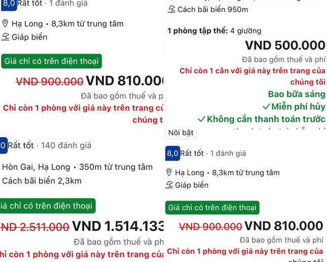 Chưa nghỉ lễ đã 'cháy' tour du thuyền vịnh Hạ Long - Ảnh 3.