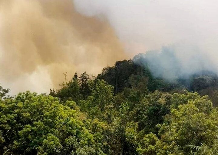 Hai kiểm lâm tử nạn khi chữa cháy rừng Tây Côn Lĩnh - Ảnh 1.