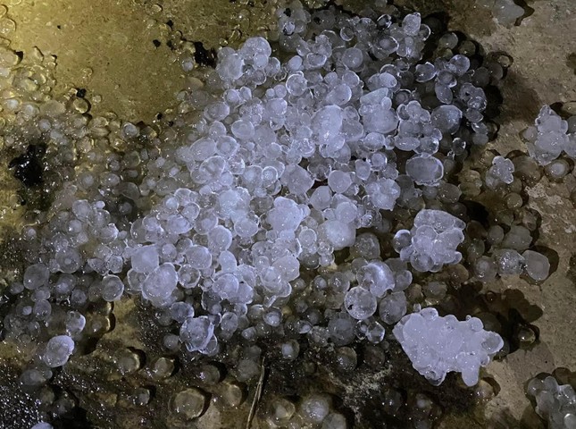 Mưa đá xối xả, gần trăm héc-ta lúa ở Đắk Lắk mất trắng - Ảnh 6.