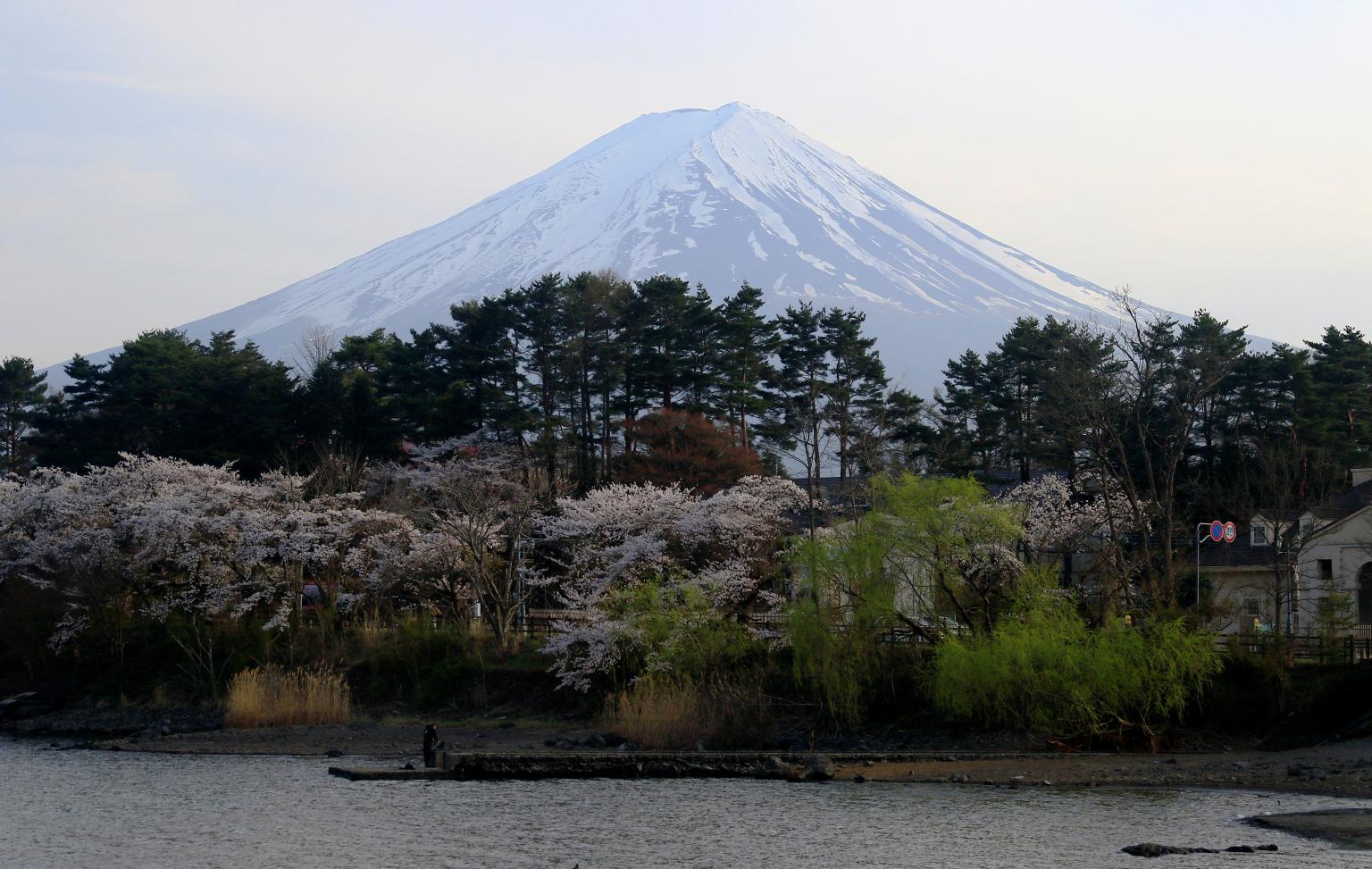 Thị trấn Nhật quyết dựng rào &quot;chặn view&quot; ngắm núi Phú Sĩ vì không chịu nổi làn sóng du khách đổ đến check-in- Ảnh 2.